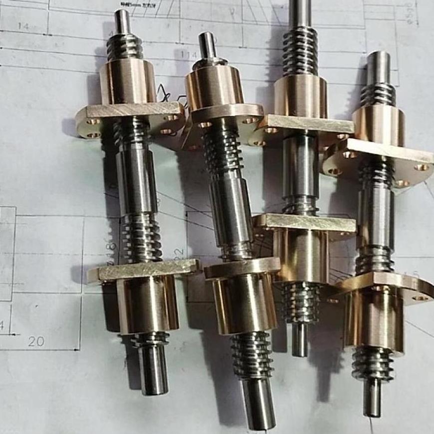 Diameter 12mm Lead 5mm Twin Lead T12x5 Tr12x5 Bidirectional Lead Screw with Flange Nut Diameter 12mm Lead 5mm Twin Lead T12x5 Tr12x5 Bidirectional Lead Screw with Flange Nut