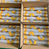 10x5 Diameter 10mm Pitch 5mm Nitrided Stainless Steel Self Reversing Screw with Nut