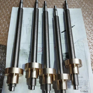 Diameter 16mm Lead 2mm Tr16x2 T16x2 SUS304 Lead Screw with Bronze Flange Nut