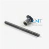Tr6x4 Miniature Lead Screw Rod with Anti-backlash Nut