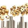 Tr10x6 Bi-directional Trapezoidal Screw with Custom Nut