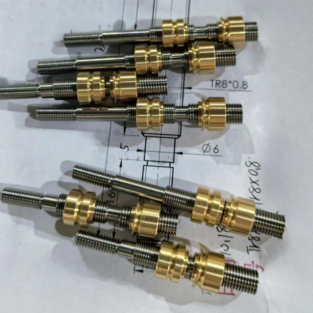 Diameter 8mm Lead 0.8mm 1mm Twin Lead Tr8x0.8 Tr8x1 Bidirectional Lead Screw And Nut