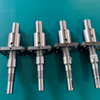1202 Ball Screw 12mm Diameter 2mm Lead Custom Size with Single Flange Ball Nut