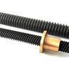 Tr22x5 High Load Trapezoidal Lead Screw And Nut