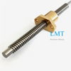 10mm Diameter 2mm Lead Tr10x2 Lead Screw with Bronze Nut