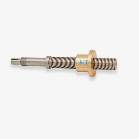 Tr18x2 ROHS Compliant Rolled Lead Screw with Nut