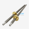 Tr12x6 Stainless Steel Lead Screw 3mm Pitch 2 Thread Starts T12 Screw with Brass Nut 