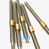 2mm Pitch 6 Thread Starts T12 Tr12x12 Precision Lead Screw with Round Nut 