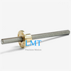 10mm Diameter 12mm Lead Tr10x12 Lead Screw with Copper Alloy Nut