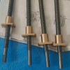 OD 10mm Pitch 2mm Tr10x2 SUS304 Lead Screw And Brass Flange Nut